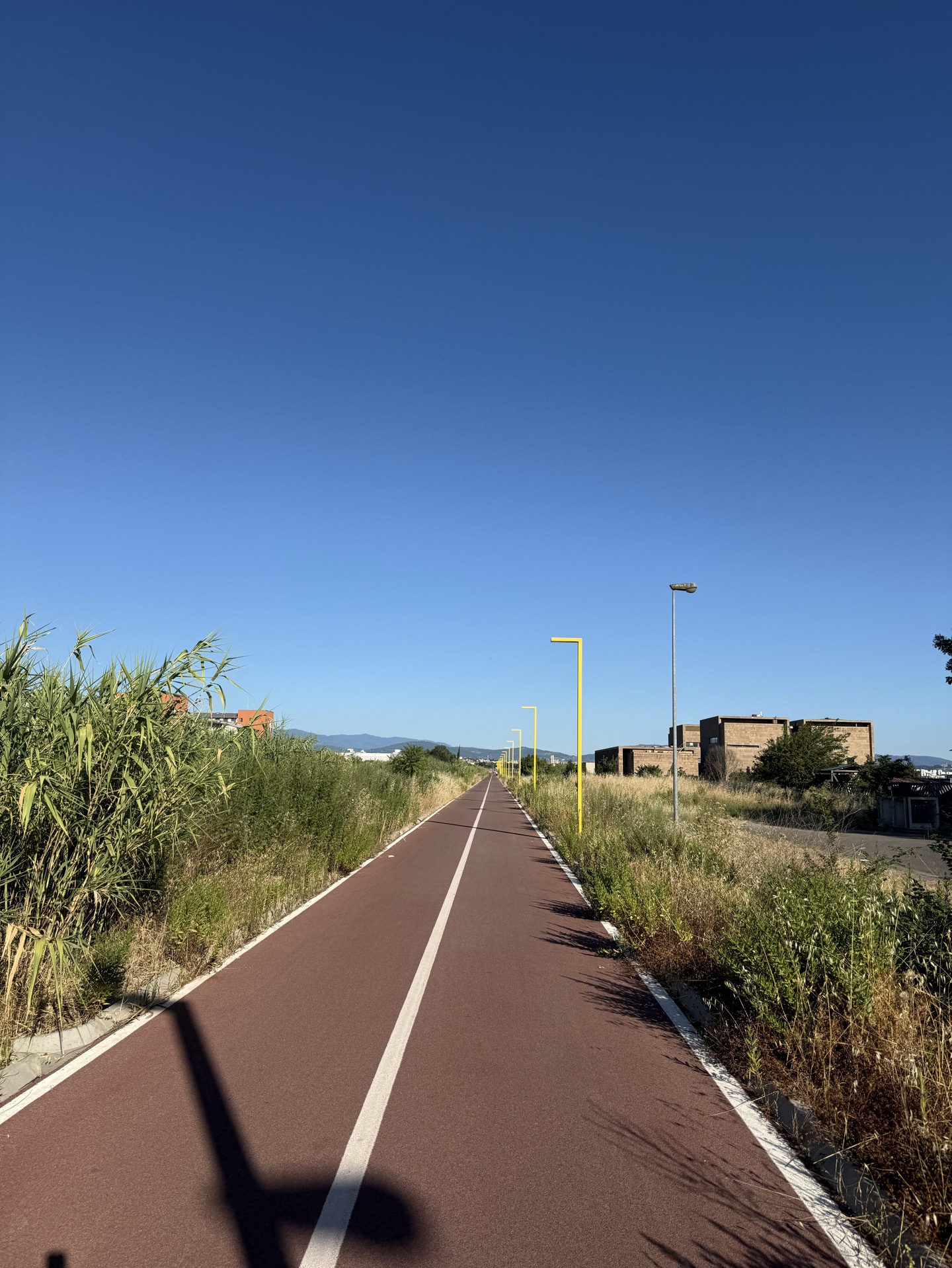 AJ
