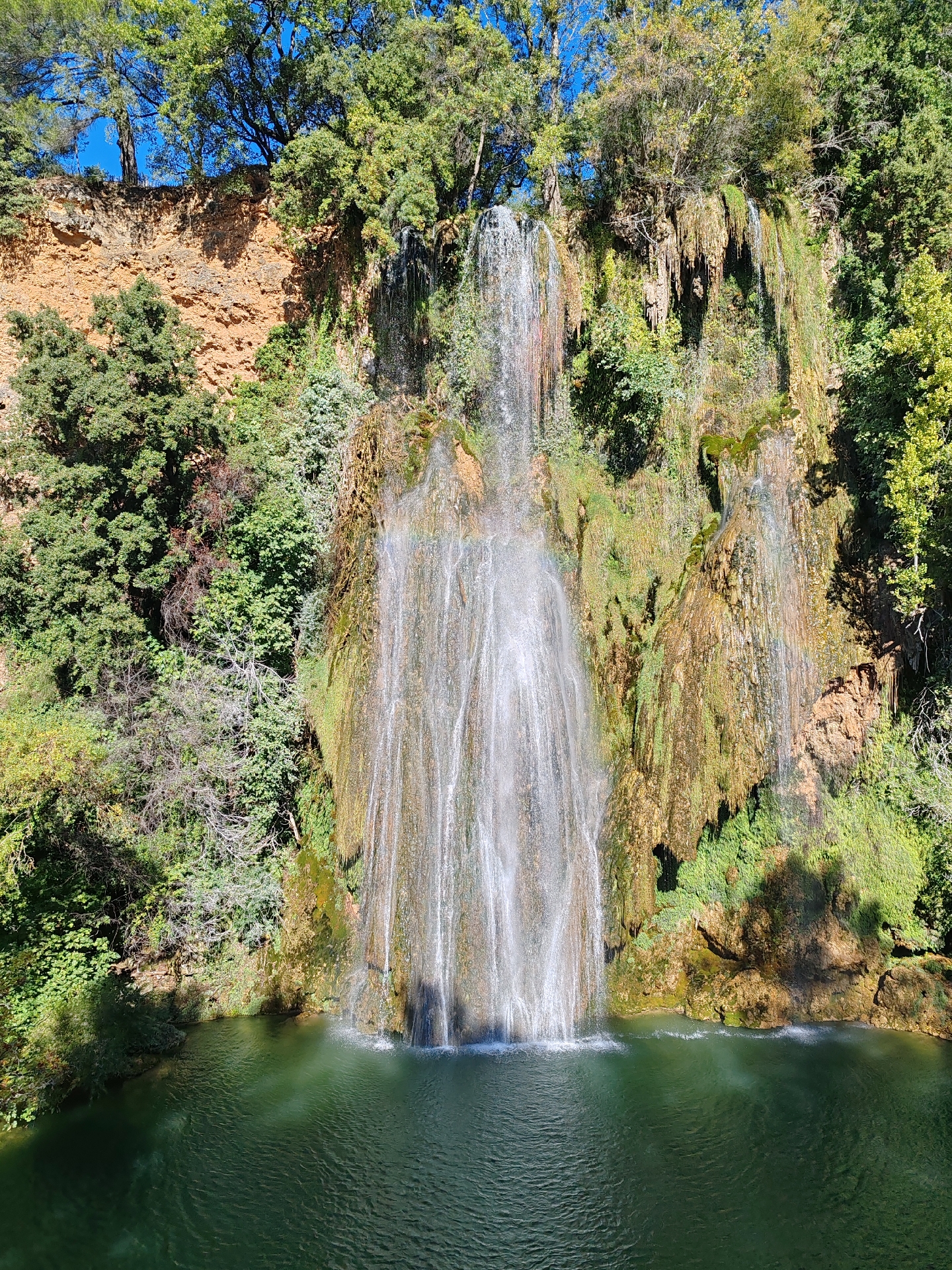 SD