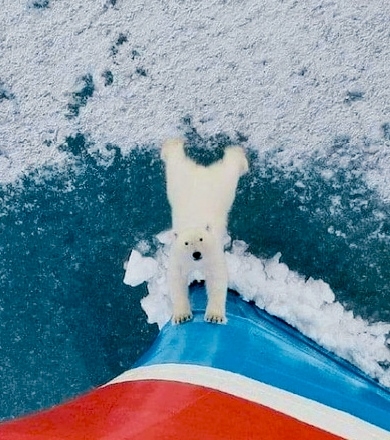 GV