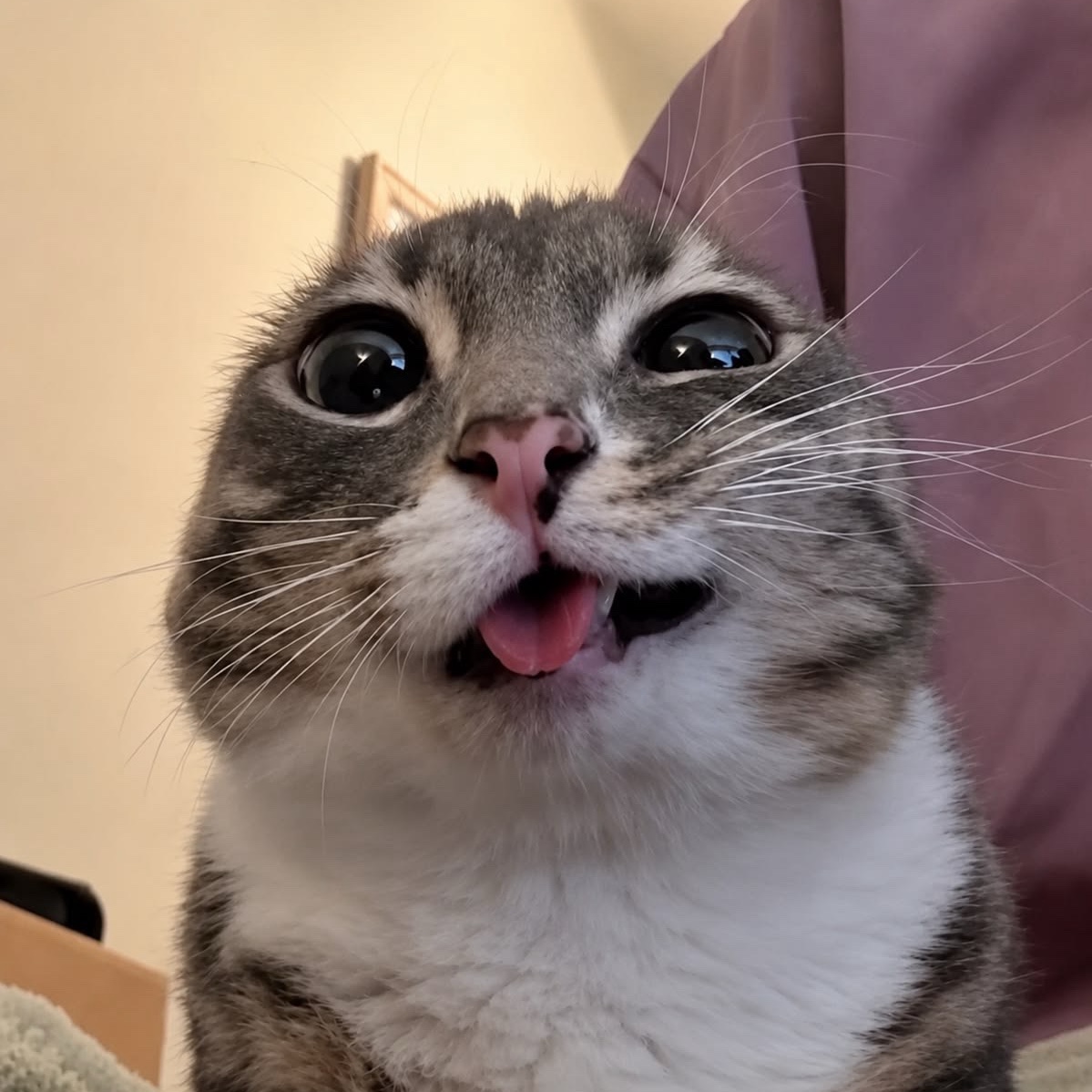 MG