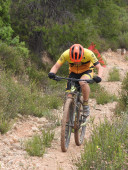 AA
