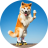 AN