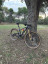 AA