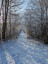 AA