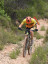 AA