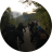 YR