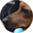 MS