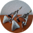 DP