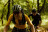 MD